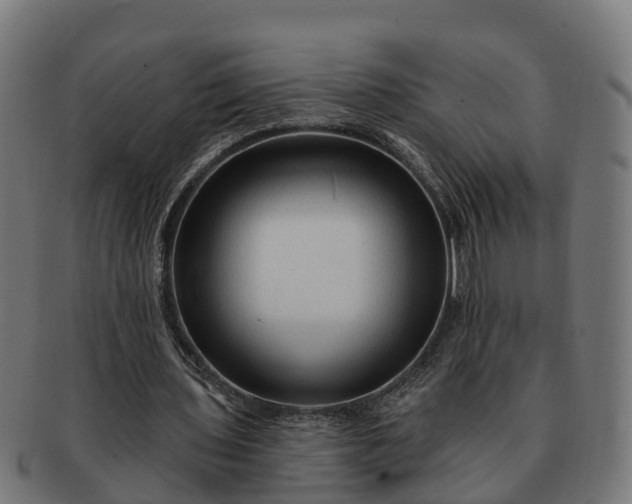 X0000091330435200708241204