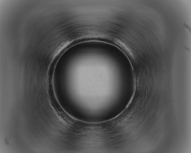 X0000091330436200708241204