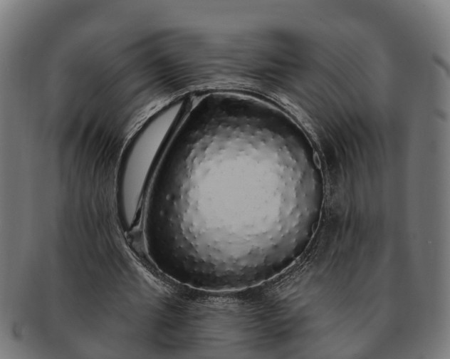 X0000091330437200708241204