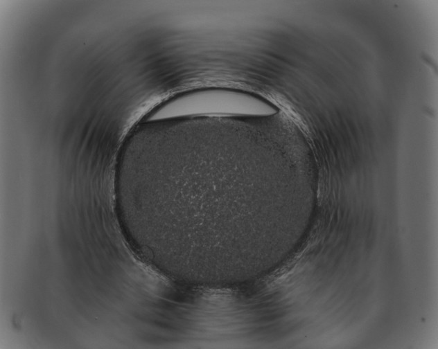 X0000091330438200708241204