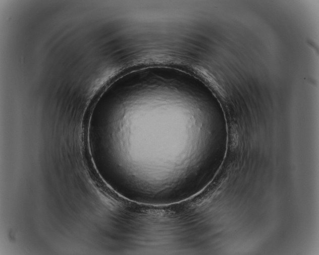 X0000091330439200708241204