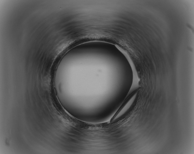 X0000091330440200708241204