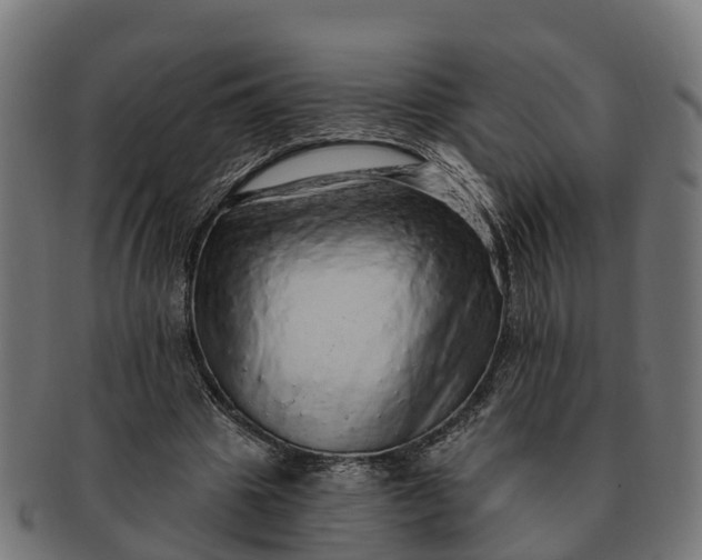 X0000091330441200708241204