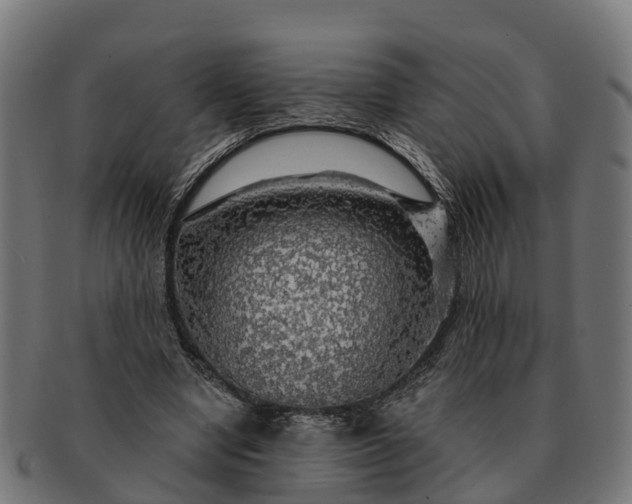 X0000091330442200708241204