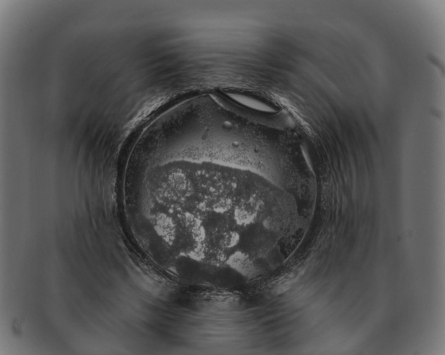 X0000091330443200708241204