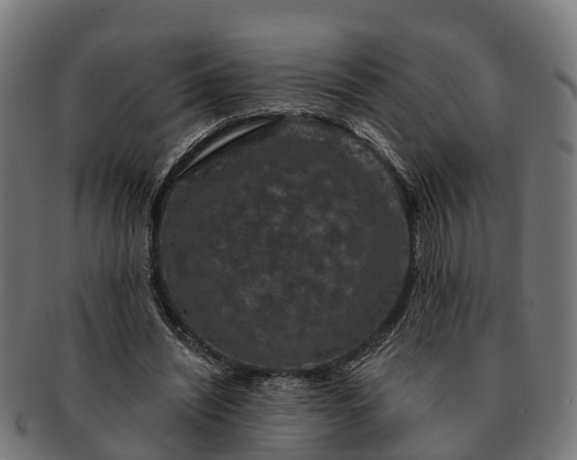 X0000091330444200708241204