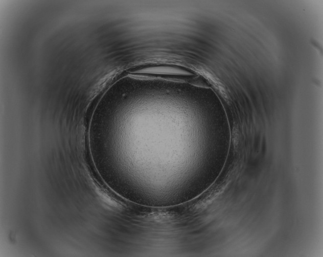 X0000091330445200708241204