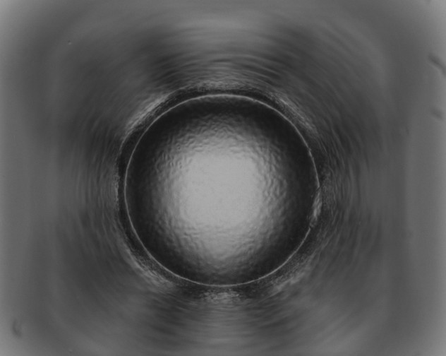 X0000091330446200708241204