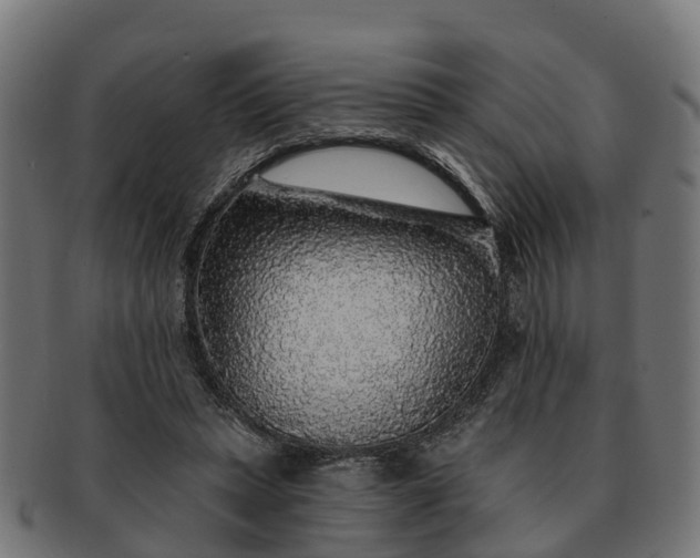 X0000091330447200708241204