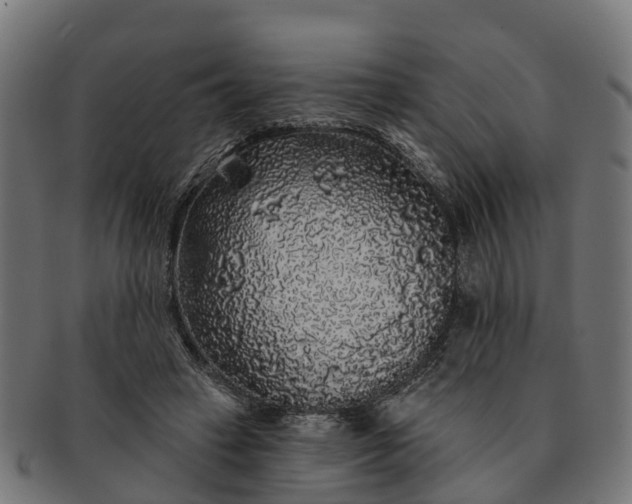 X0000091330449200708241204