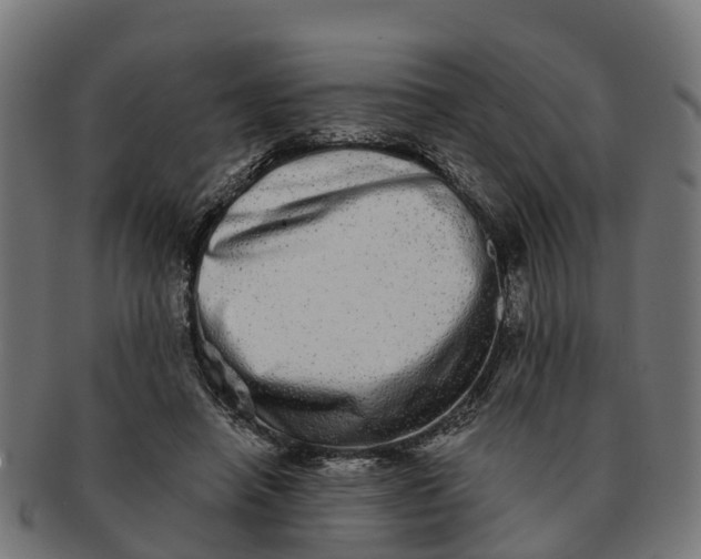 X0000091330450200708241204