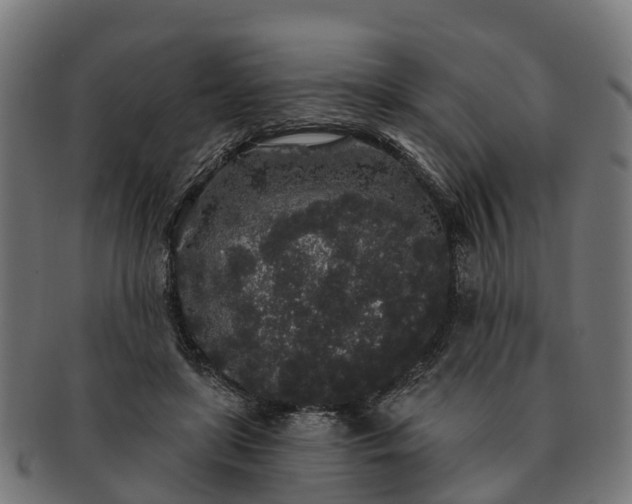 X0000091330451200708241204