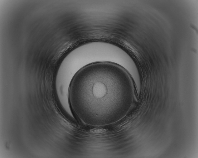 X0000091330452200708241204