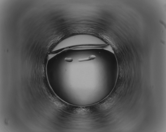 X0000091330453200708241204