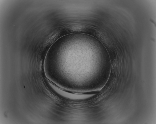 X0000091330454200708241204