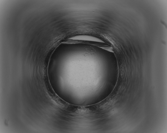 X0000091330455200708241204