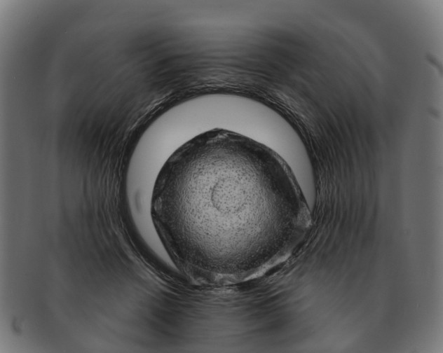 X0000091330456200708241204