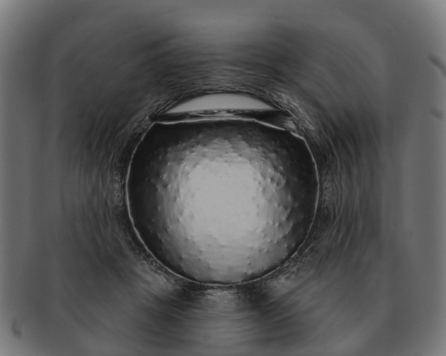 X0000091330457200708241204