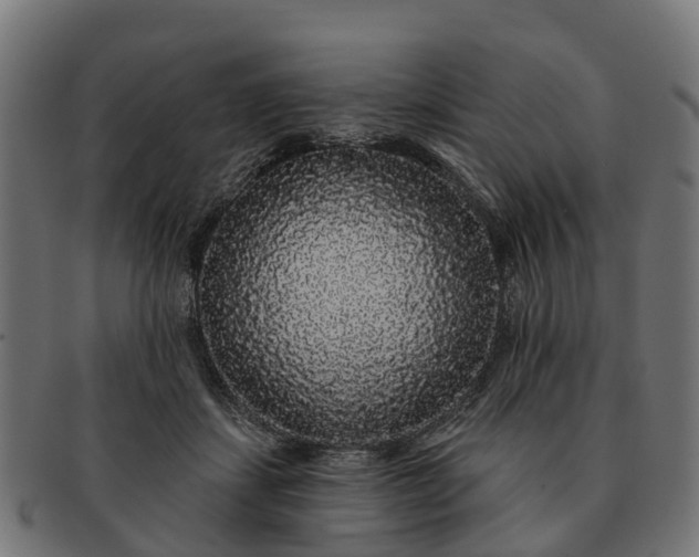 X0000091330459200708241204