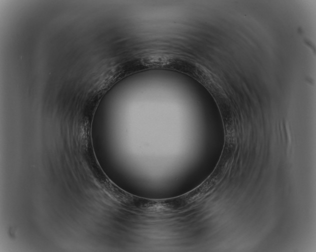 X0000091330460200708241204