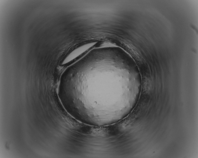 X0000091330461200708241204