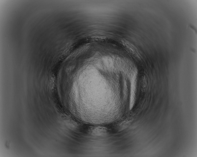 X0000091330463200708241205