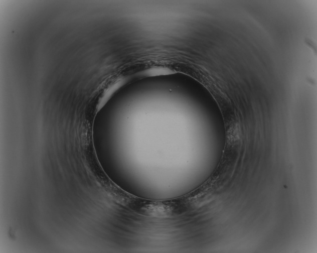 X0000091330464200708241205