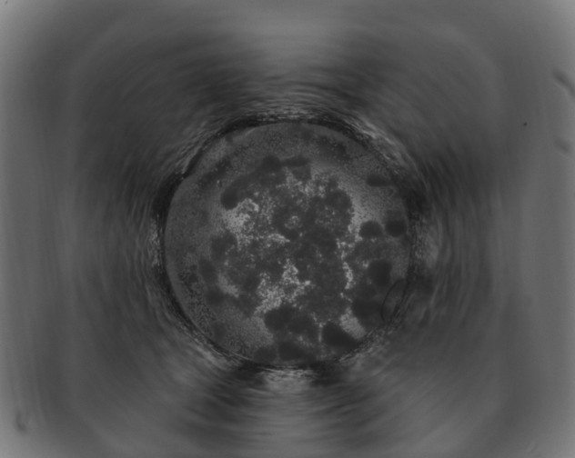 X0000091330465200708241205