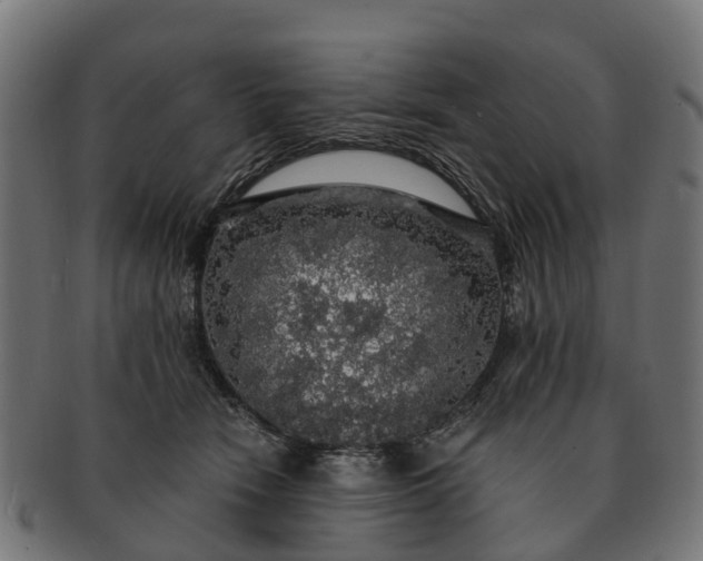 X0000091330466200708241205