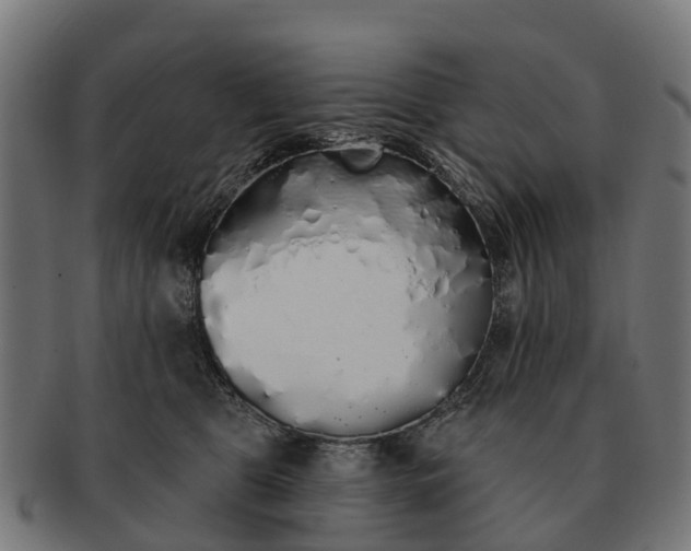 X0000091330469200708241205