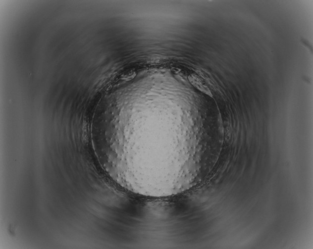 X0000091330470200708241205