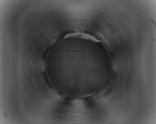 X0000091330471200708241205