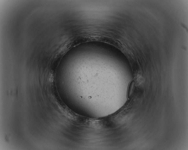 X0000091330472200708241205