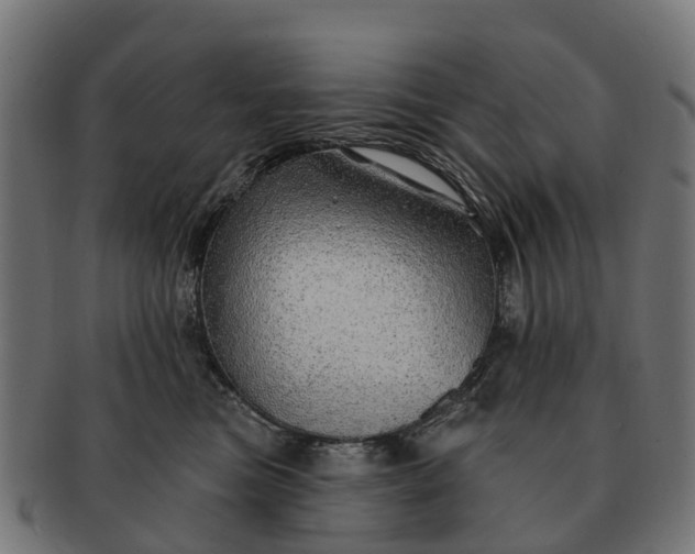 X0000091330473200708241205