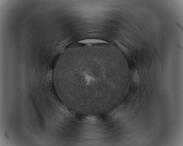 X0000091330475200708241205