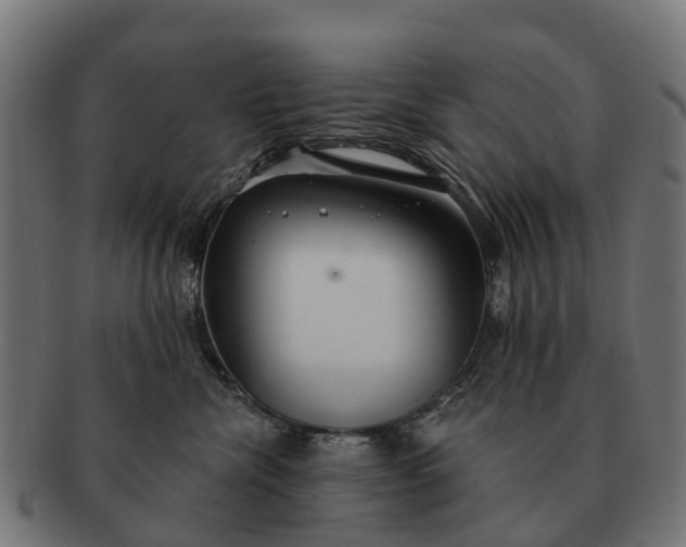 X0000091330476200708241205