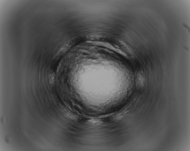 X0000091330477200708241205