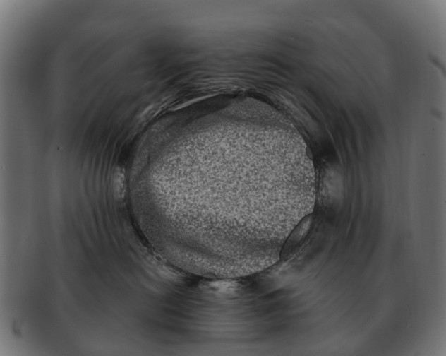 X0000091330478200708241205