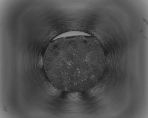 X0000091330479200708241205