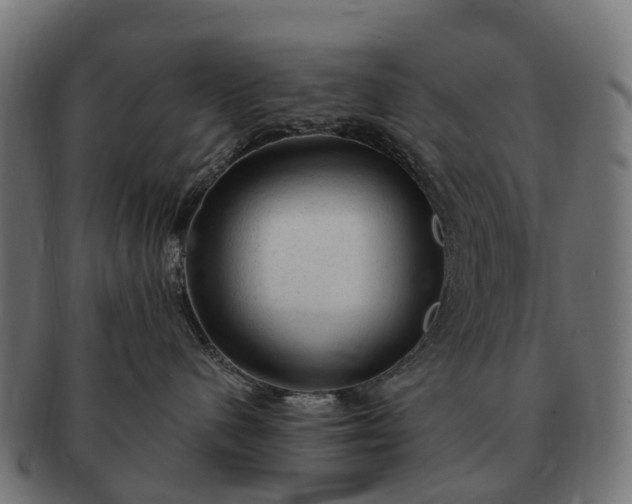 X0000091330480200708241205