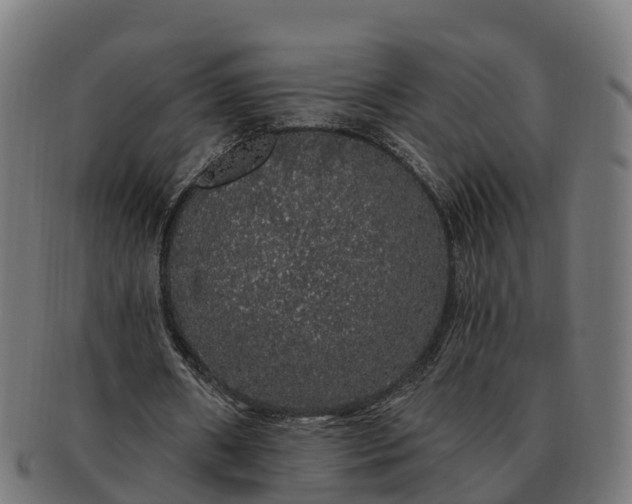 X0000091330482200708241204