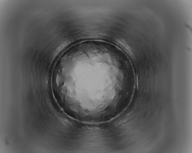 X0000091330483200708241204