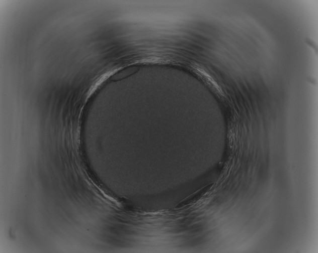 X0000091330484200708241204