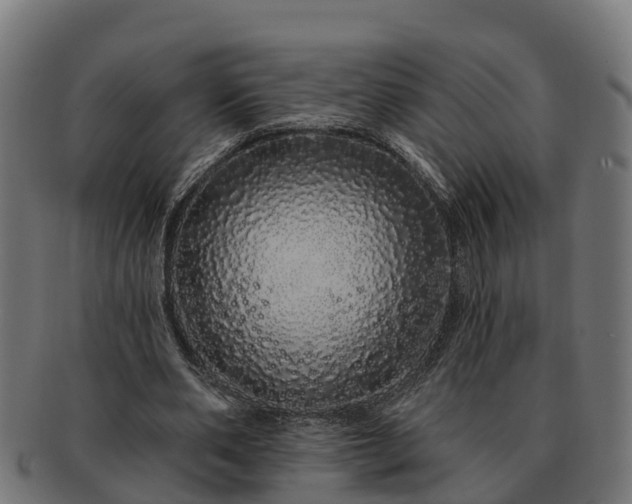 X0000091330486200708241204