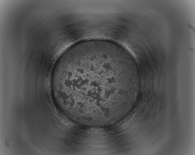 X0000091330487200708241204