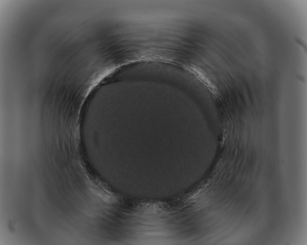 X0000091330488200708241204