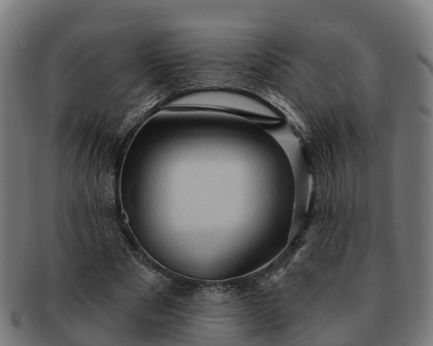 X0000091330489200708241204