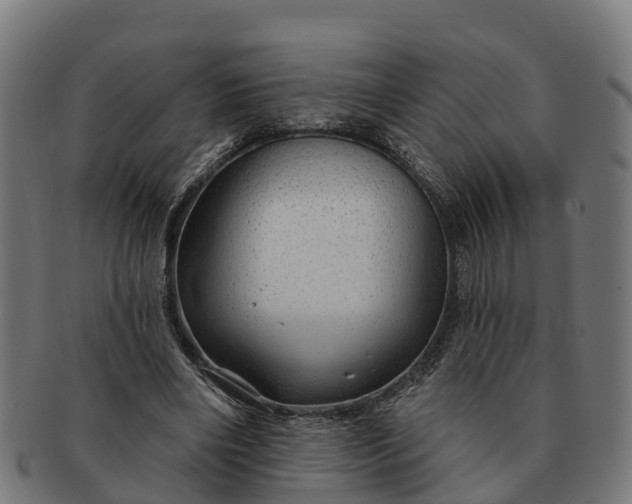 X0000091330490200708241204