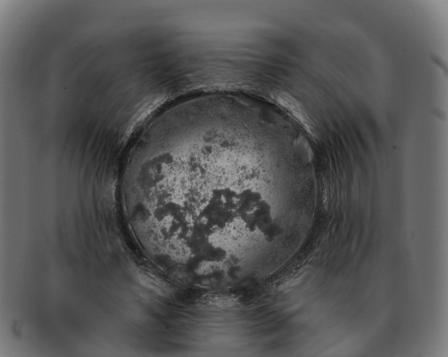 X0000091330491200708241204