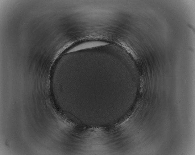 X0000091330492200708241204